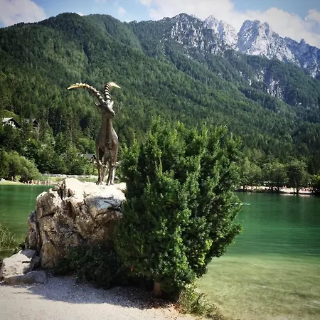 Hut Smucka Kranjska Gora